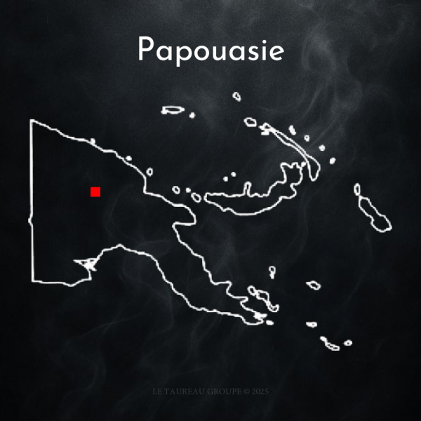 100% Arabica - Papouasie ( 250 g )